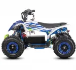 Электроквадроцикл WHITE SIBERIA SNEG LETO R 1000W — изображение 8