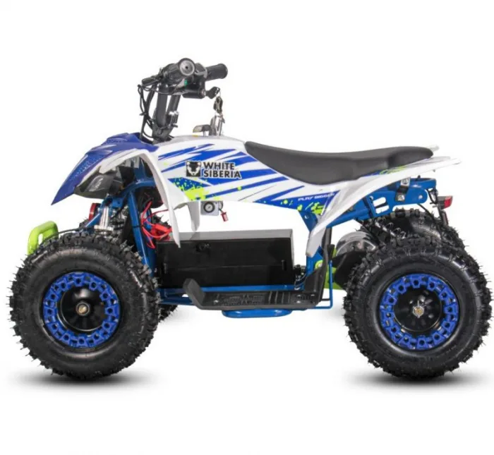 Электроквадроцикл WHITE SIBERIA SNEG LETO R 1000W — изображение 8