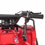 Электроквадроцикл WHITE SIBERIA SNEG MINI — изображение 16