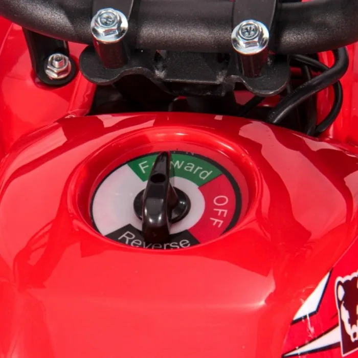 Электроквадроцикл WHITE SIBERIA SNEG MINI — изображение 18