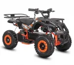 Электроквадроцикл WHITE SIBERIA SNEG MINI — изображение 6