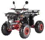 Электроквадроцикл WHITE SIBERIA SNEG Pro 3000W — изображение 2