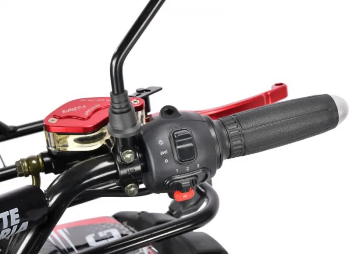 Электроквадроцикл WHITE SIBERIA SNEG Pro 3000W — изображение 15