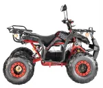 Электроквадроцикл WHITE SIBERIA SNEG Pro 3000W — изображение 4