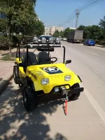 Электромобиль GreenCamel Джип (60V 1500W R8 Дифференциал) — изображение 9