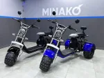 Электромотоцикл трехколесный  Minako REX-T 3000W — изображение 2
