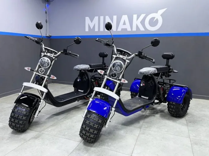 Электромотоцикл трехколесный  Minako REX-T 3000W — изображение 2