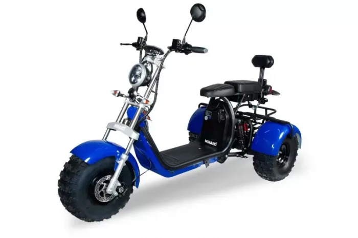 Электромотоцикл трехколесный  Minako REX-T 3000W — изображение 3