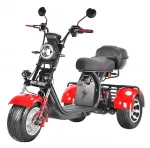Электромотоцикл трехколесный WHITE SIBERIA PRO+ TRIKE 3000W — изображение 2