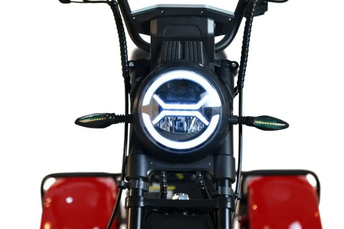 Электромотоцикл трехколесный WHITE SIBERIA PRO+ TRIKE 3000W — изображение 13