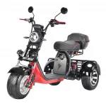 Электромотоцикл трехколесный WHITE SIBERIA PRO+ TRIKE 3000W — изображение 3