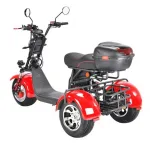 Электромотоцикл трехколесный WHITE SIBERIA PRO+ TRIKE 3000W — изображение 4