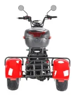 Электромотоцикл трехколесный WHITE SIBERIA PRO+ TRIKE 3000W — изображение 10