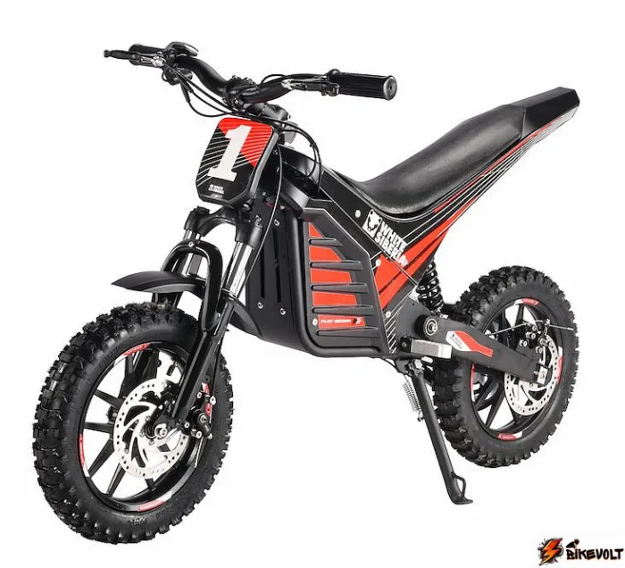 elektromototsikl-ws-muxa-1300w-0 Электромотоцикл WHITE SIBERIA MUXA 1300W — изображение 1