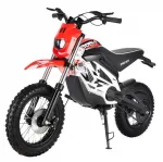 Электромотоцикл WHITE SIBERIA SOCHI 1300W — изображение 3