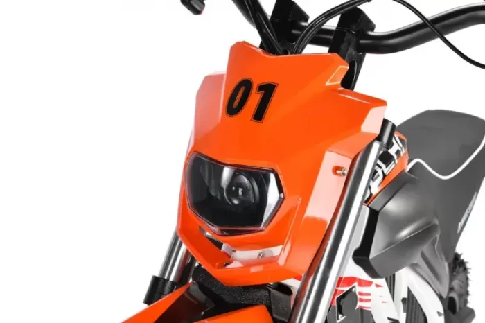 Электромотоцикл WHITE SIBERIA SOCHI 1300W — изображение 10