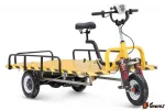 Грузовая электрическая тележка RuTrike ТАКСА ВАЙД