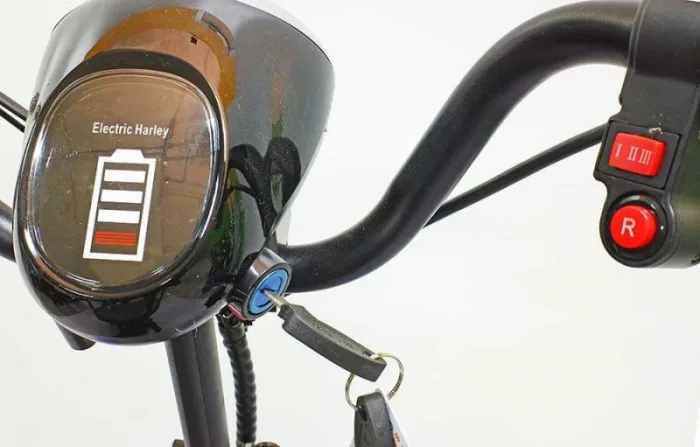 Электротрицикл GreenCamel Кольт 501 (36V 10Ah 2x250W) задние мотор-колеса — изображение 18