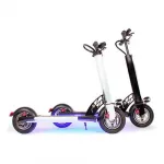 Электросамокат Kaabo Skywalker-10L 500W 48V/13Ah черный — изображение 2