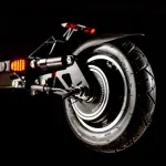 Электросамокат Starway HERO S9 48V 13Ah — изображение 6