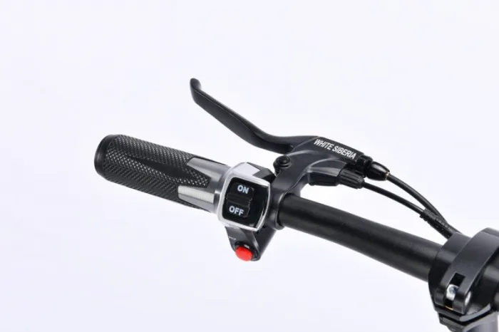 Электросамокат WS-MINI 1000w — изображение 8