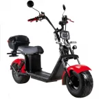 Электроскутер Citycoco SkyBoard BR20-2WD (полный привод 2×2000W) — изображение 4