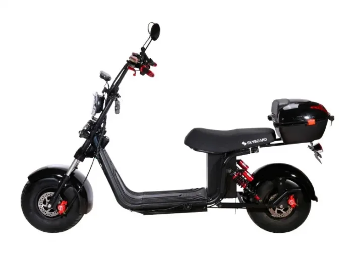 Электроскутер Citycoco SkyBoard BR20-2WD (полный привод 2×2000W) — изображение 6