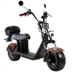 Электроскутер Citycoco SkyBoard BR20-2WD (полный привод 2×2000W) — изображение 7