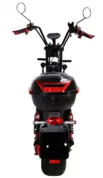 Электроскутер Citycoco SkyBoard BR20-2WD (полный привод 2×2000W) — изображение 8