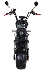 Электроскутер Citycoco SkyBoard BR20-2WD (полный привод 2×2000W) — изображение 9