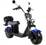 Электроскутер Citycoco SkyBoard BR20-3000 PRO — изображение 3