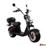 Электроскутер Citycoco SkyBoard BR30-2WD PRO