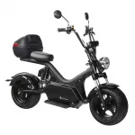 Электроскутер Citycoco SkyBoard BR50-3000 PRO MAX — изображение 3