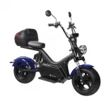 Электроскутер Citycoco SkyBoard BR50-3000 PRO — изображение 3