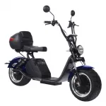 Электроскутер Citycoco SkyBoard BR70-2WD — изображение 4
