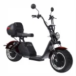 Электроскутер Citycoco SkyBoard BR70-2WD — изображение 5