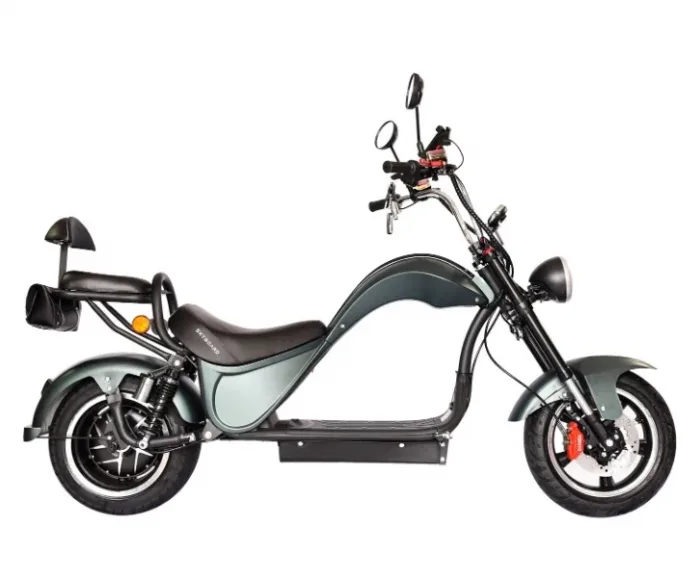 elektroskuter-citycoco-skyboard-chopper-3000-pro-6 Электроскутер Citycoco SkyBoard Chopper 3000 PRO — изображение 7