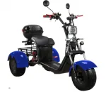 Электроскутер CityCoco SkyBoard Trike BR40-3000 PRO — изображение 3
