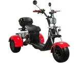Электроскутер CityCoco SkyBoard Trike BR40-3000 PRO — изображение 4