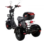 Электроскутер CityCoco SkyBoard Trike BR40-3000 PRO — изображение 6