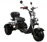 Электроскутер CityCoco SkyBoard Trike BR40-3000 PRO — изображение 9