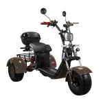 Электроскутер CityCoco SkyBoard Trike BR40-3000 PRO FAST — изображение 5