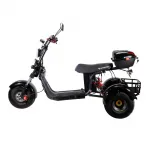 Электроскутер CityCoco SkyBoard Trike BR40-3000 PRO FAST — изображение 6