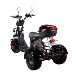 Электроскутер CityCoco SkyBoard Trike BR40-3000 PRO FAST — изображение 7