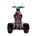 Электроскутер CityCoco SkyBoard Trike BR40-3000 PRO FAST — изображение 8