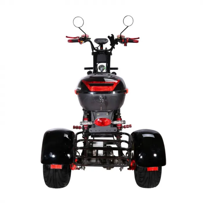 Электроскутер CityCoco SkyBoard Trike BR40-3000 PRO FAST — изображение 8