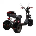 Электроскутер CityCoco SkyBoard Trike BR40-3000 PRO FAST — изображение 9