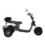 Электроскутер CityCoco SkyBoard Trike BR40-3000 PRO FAST — изображение 10