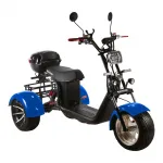Электроскутер трехколесный CityCoco SkyBoard Trike BR60-3000 PRO — изображение 4