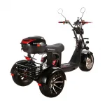 Электроскутер трехколесный CityCoco SkyBoard Trike BR60-3000 PRO — изображение 6
